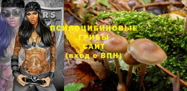 бошки Алзамай