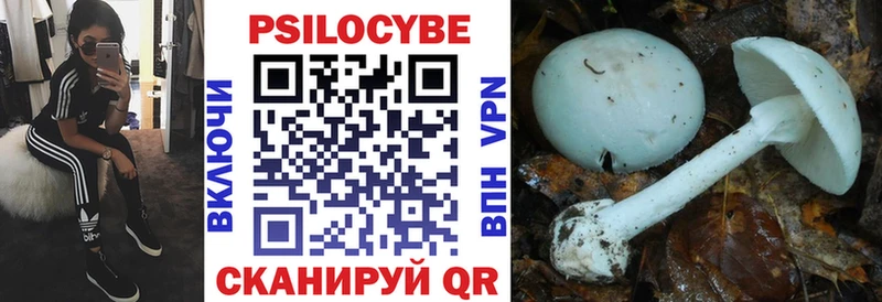 Псилоцибиновые грибы Psilocybine cubensis  как найти закладки  Волжский 